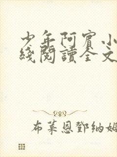 少年阿宾小说在线阅读全文无删减