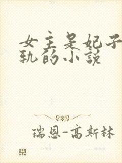 女主是妃子却出轨的小说