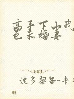 高手下山我的绝色未婚妻