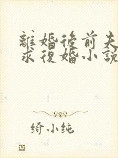 离婚后前夫哭着求复婚小说免费读