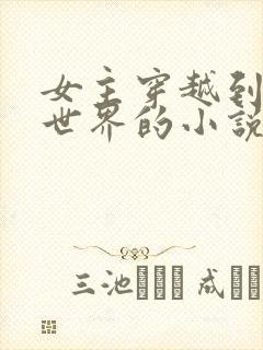 女主穿越到女尊世界的小说