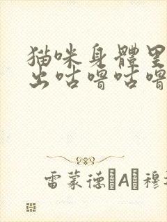 猫咪身体里面发出咕噜咕噜的声音