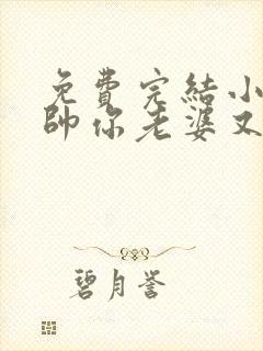 免费完结小说少帅你老婆又跑了封面