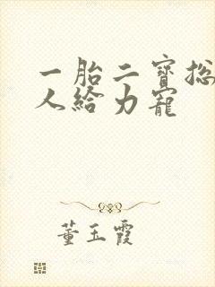 一胎二宝总裁大人给力宠