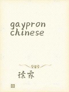 gaypronchinese