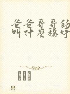 爸爸哥哥的老婆叫什么称呼封面