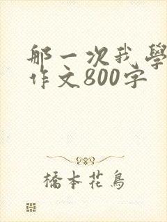 那一次我学会了作文800字