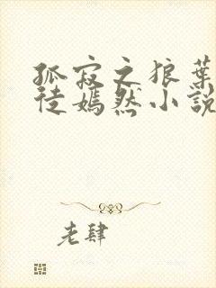 孤寂之狼叶凡司徒嫣然小说