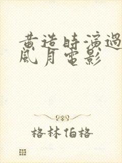 黄造时演过什么风月电影封面