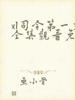 xl司令第一季全集观看免费播放