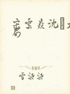 宋云焱沈大结局