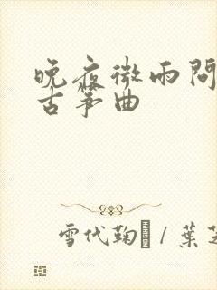 晚夜微雨问海棠古筝曲