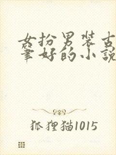 女扮男装古言文笔好的小说推荐