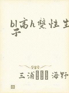 bl高h双性生子