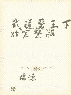 武道医王下载txt完整版