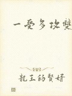 一受多攻双男主封面