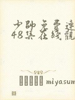 少帅免费连续剧48集在线观看高清