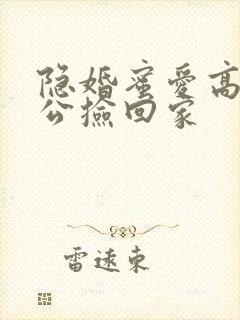 隐婚蜜爱高冷老公捡回家封面