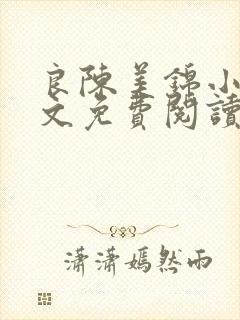 良陈美锦小说全文免费阅读下载封面