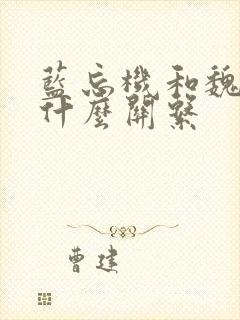 蓝忘机和魏无羡什么关系