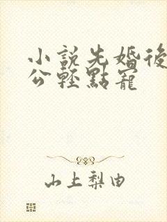 小说先婚后爱老公轻点宠