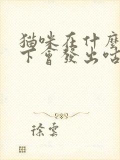 猫咪在什么情况下会发出咕噜的声音