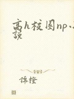高h校园np小说