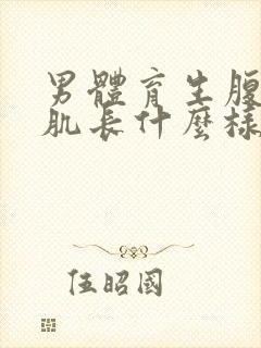 男体育生腹肌胸肌长什么样