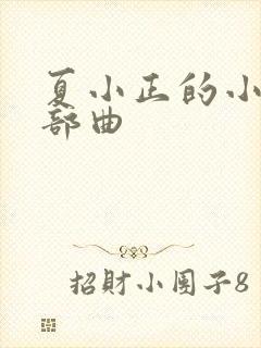 夏小正的小说三部曲