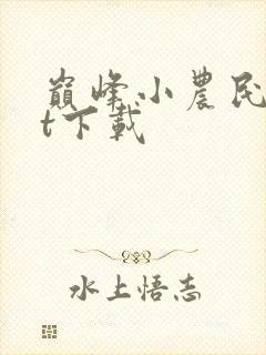 巅峰小农民txt下载