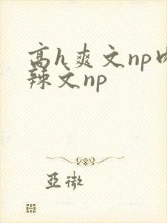 高h爽文np肉辣文np