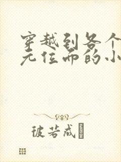 穿越到各个二次元位面的小说