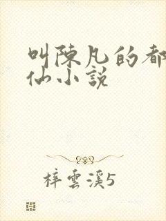 叫陈凡的都市修仙小说