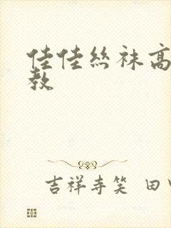 佳佳丝袜高跟调教