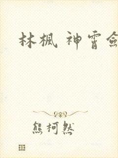 林枫 神霄剑宗封面