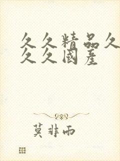 久久精品久久久久久国产