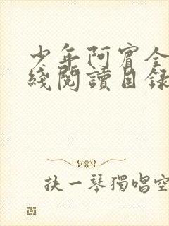 少年阿宾全文在线阅读目录封面