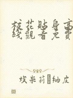 校花贴身高手在线观看免费完整版封面