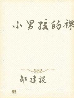 小男孩的裸体照封面