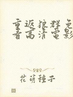 重返狼群免费观看高清电影