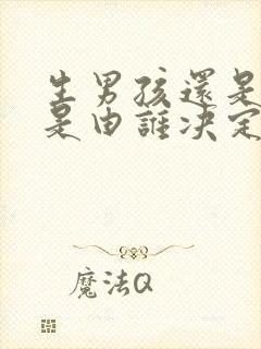 生男孩还是女孩是由谁决定的