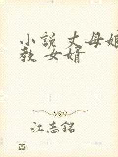 小说 丈母娘 教 女婿