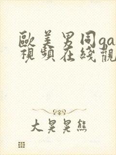 欧美男同gay视频在线观看