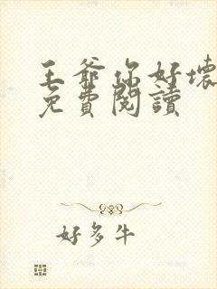 王爷你好坏小说免费阅读