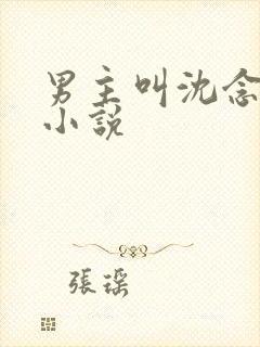 男主叫沈念安的小说