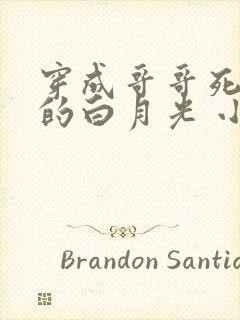 穿成哥哥死对头的白月光 小说