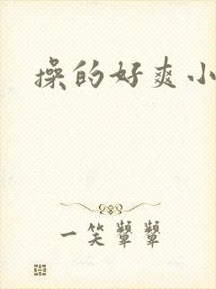 操的好爽小说