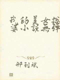 我的美女总裁老婆小说无弹窗