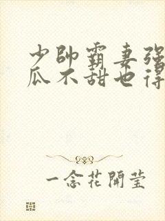 少帅霸妻强扭的瓜不甜也得甜小说