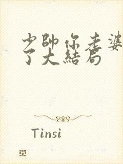 少帅你老婆又跑了大结局